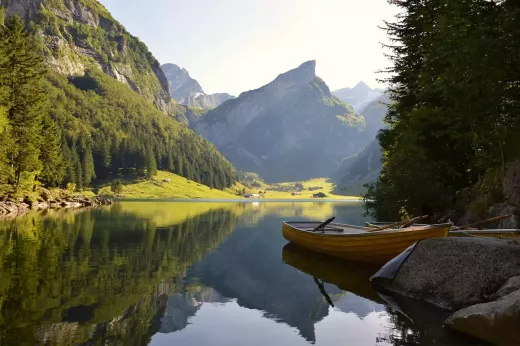 River Conservation: The Importance of Protecting Our Waterways