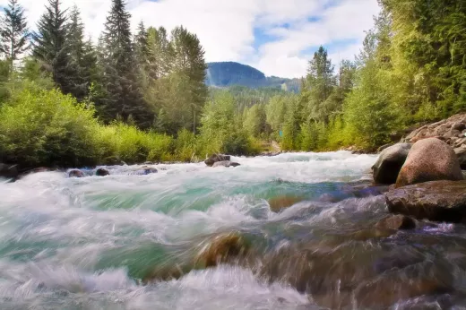 Navigating the Rapids: A Beginner's Guide to Whitewater Rafting Classifications